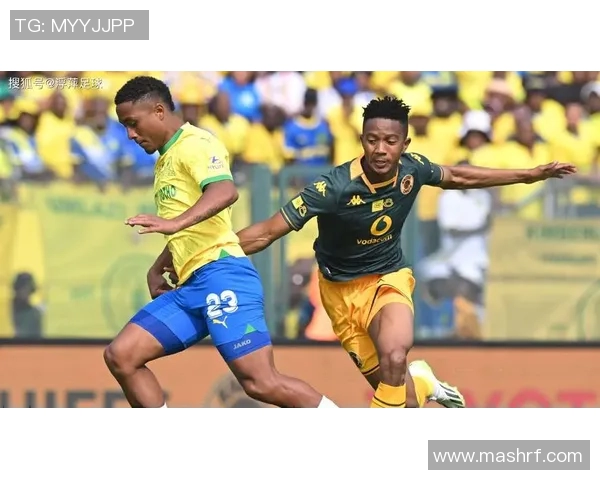 巴西对阵荷兰精彩视频直播全程回顾与分析