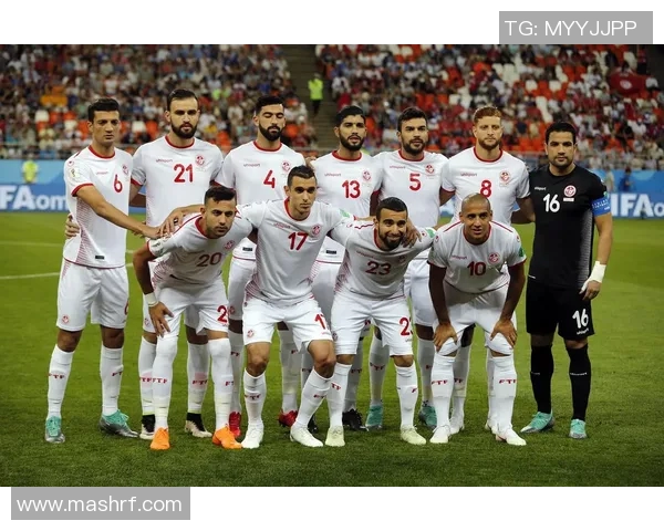 突尼斯与巴拿马亚盘分析及比赛前瞻全面解读