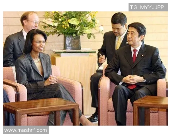 赖斯的外交策略与全球影响力分析及其在国际关系中的重要角色