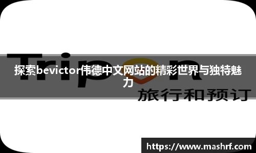 JN体育