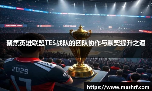 聚焦英雄联盟TES战队的团队协作与默契提升之道