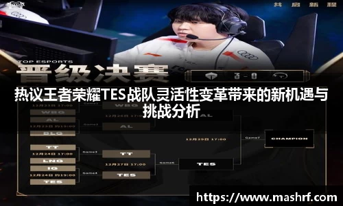 热议王者荣耀TES战队灵活性变革带来的新机遇与挑战分析