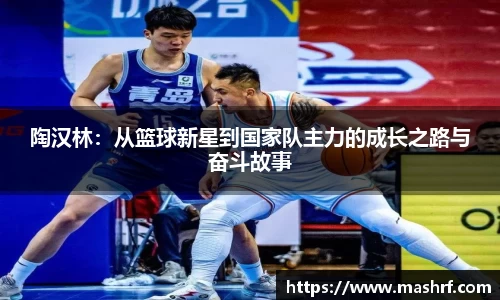 陶汉林：从篮球新星到国家队主力的成长之路与奋斗故事